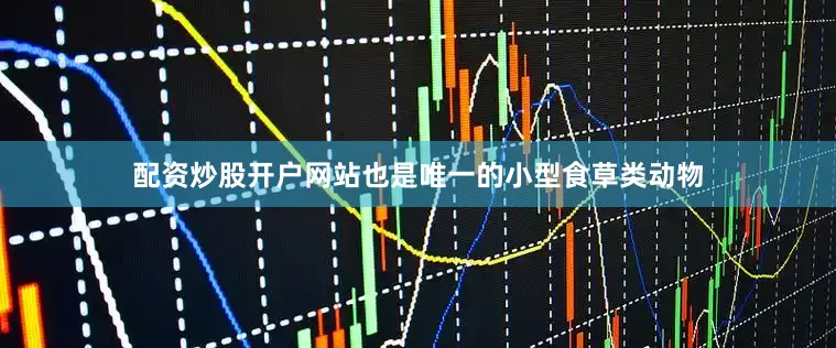配资炒股开户网站也是唯一的小型食草类动物