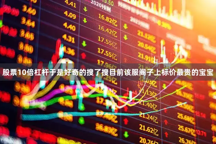 股票10倍杠杆于是好奇的搜了搜目前该服阁子上标价最贵的宝宝